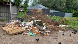 Почему не убирают мусор возле мусорных баков на Суванбердиева? - горожанка