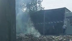 Законно ли на Тыныстанова-Линейная сжигают мусор? Видео горожанина