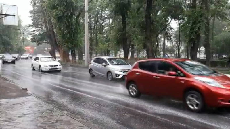 Долгожданный дождь в Бишкеке. Видео