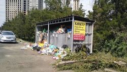 На Алматинке не убрали мусор. Фото