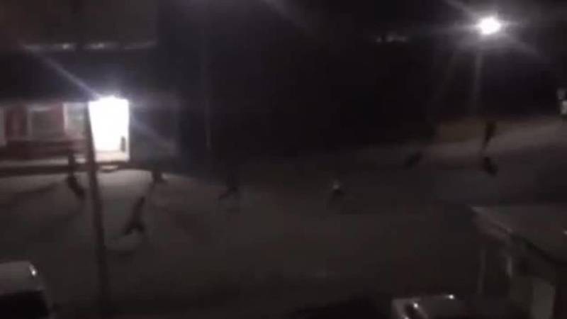Выстрелы, крики и толпа парней. Что происходит в Жалал-Абаде? Видео