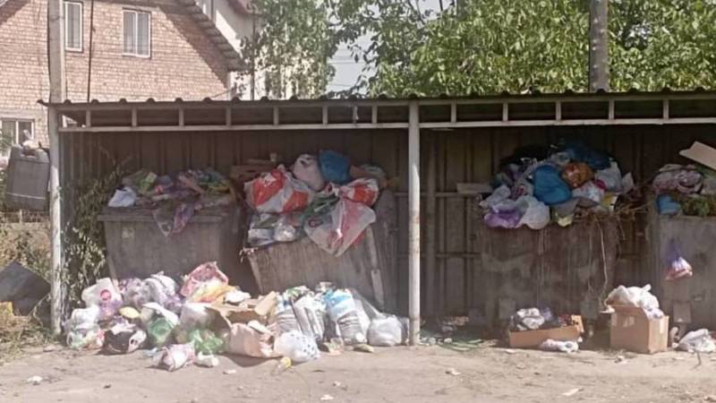 В Арча-Бешике баки забиты мусором. Фото
