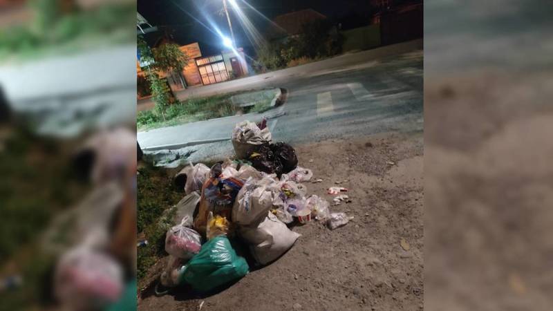На Щербакова-Сеченова не убирают мусор, - местный житель