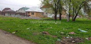 Военно-Антоновка айылы таштанды менен ылайдан тазаланбай жатат (сүрөт)