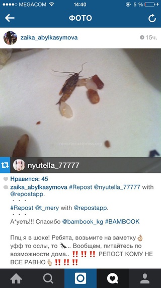 В соцсетях сообщают о найденном таракане в еде от сети быстрого питания «Бамбук», - читатель <b><i> (фото) </i></b>
