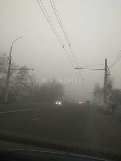 Аламедин-1