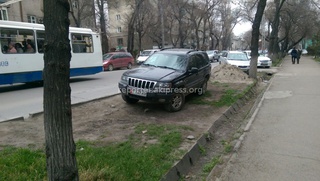 Парковка на газоне по ул. Московская 7 апреля.