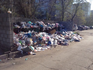 Около недели не убирают мусор в 8 микрорайоне, - читатель <b><i>(фото)</i></b>