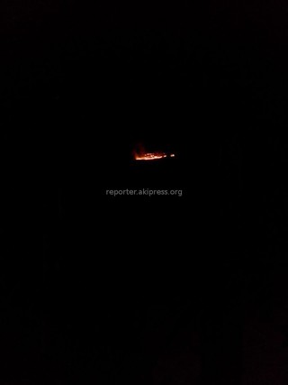 Пожары в Боомском ущелье и на горе Таштар-Ата <b><i>(видео,фото)</i></b>