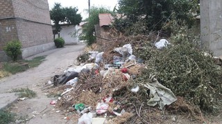 Долгое время не вывозится мусор в районах «Пишпек» и «Кызыл Аскер», - читатели <b><i>(фото)</i></b>