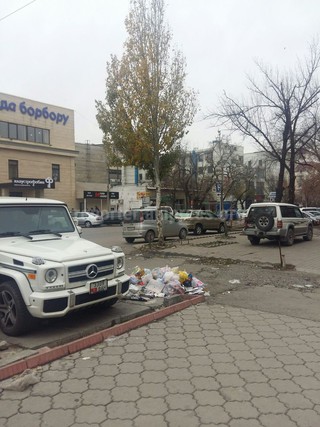 По улице Карпинского с утра до вечера стоял мусор на стоянке авто, - читатель (фото)