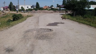 Жителя ряда сел и новостроек Бишкека просят отремонтировать участок дороги, подъезжающий к ЦСМ №17