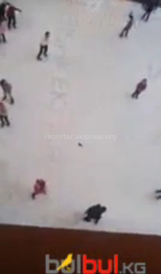 Центр госсанэпиднадзора Бишкека рассмотрел сообщение читателя о крысе, упавшей на ледовый каток «Бишкекпарка» с высоты