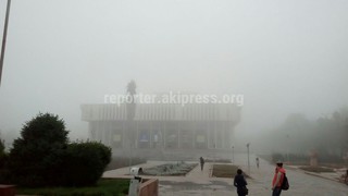 Майский туман в Бишкеке <i>(фото, видео)</i>