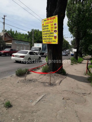 Администрация кафе на ул.Абдрахманова убрала рекламу, которую вбила гвоздями в дерево, - мэрия Бишкека
