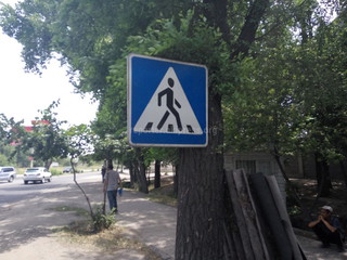 На перекрестке Л.Толстого-Молодая Гвардия дорожный знак прибит к дереву, - читатель (фото)