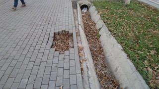 На тротуаре перекрестка Токтогула-Тыныстанова образовалась небольшая яма, - бишкекчанин (фото)