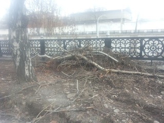 На проспекте Ч.Айтматова возле моста лежит много мусора, - читатель (фото)
