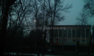 «Бишкексвет» устранит мигание фонарей уличного освещения на ул.Кольбаева в ближайшие дни, - мэрия