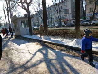 Возле посольства России в Кыргызстане бабушка ухаживает за деревьями, собирая снег вокруг корней деревьев (фото)