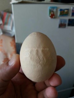 Бишкекчанин обнаружил на яйце надпись на арабском языке <i>(фото)</i>