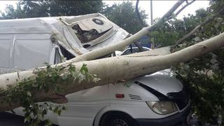 Ветер в Бишкеке сорвал крыши с домов и гаражей, повалил деревья на машины <b><i>(фото, видео)</i></b>