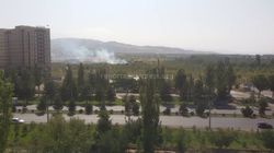 На окраине Бишкека в зеленой зоне произошел пожар <i>(фото, видео)</i>