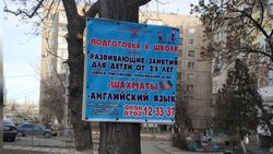 В Бишкеке на ул.Ауэзова к дереву прибили рекламную табличку, - житель (фото)