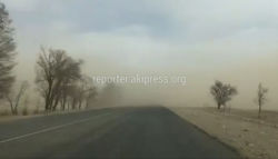 «Пыльный Армагеддон». Видео песчаной бури на Иссык-Куле
