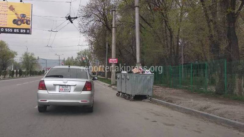В Бишкеке на Чокана Валиханова - Анкара мусорные баки стоят на проезжей части дороги (фото)