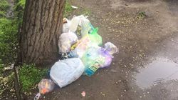 На ул.Токтогула не доезжая ул.Свердлова бросили мусор у дерева (фото)