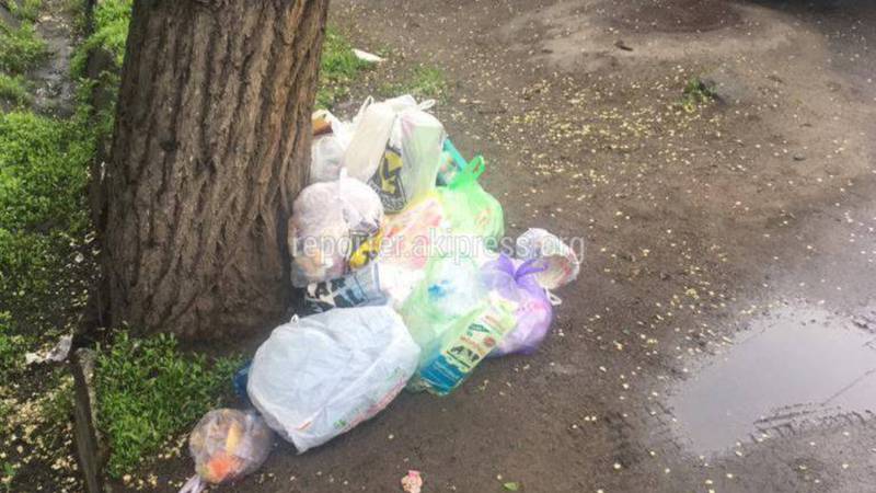 На ул.Токтогула не доезжая ул.Свердлова бросили мусор у дерева (фото)