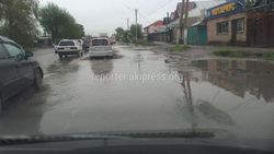 В селе Новопавловка дождевая вода топит часть улицы Фрунзе (фото)