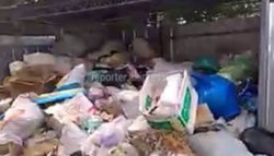 В селе Таш-Добо мусор вывозится согласно графику, - Аламединская РГА