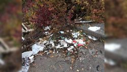 В Новопокровке вдоль речки накапливается мусор