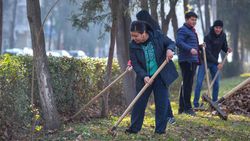 Бишкекчанин предлагает «Бишкекзеленхозу» убирать опавшие листья весной, а не осенью