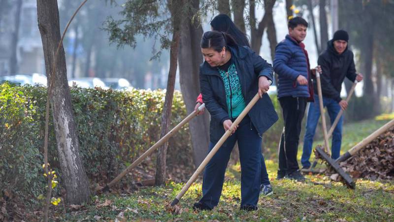 Бишкекчанин предлагает «Бишкекзеленхозу» убирать опавшие листья весной, а не осенью