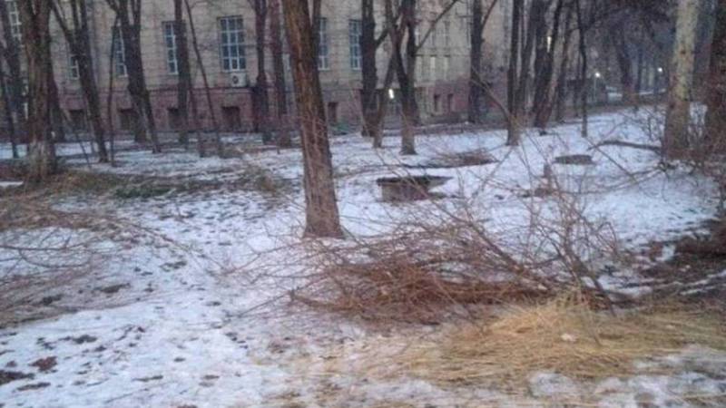 Горожанин просит убирать солому в сквере на ул.Тыныстанова. Фото