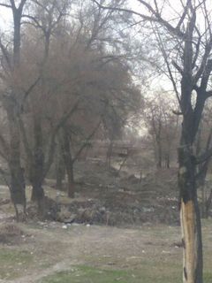 Читатель жалуется на мусор на берегу реки Ала-Арча