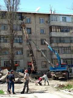 Дерево упало на дом при выкорчевывании плит на ул.Акиева в Бишкеке <i>(фото)</i>
