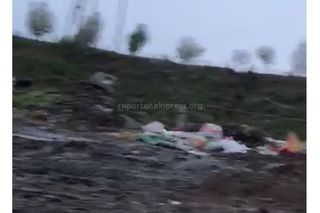 Участок недалеко от скотного рынка в Оше утопает в мусоре (видео)