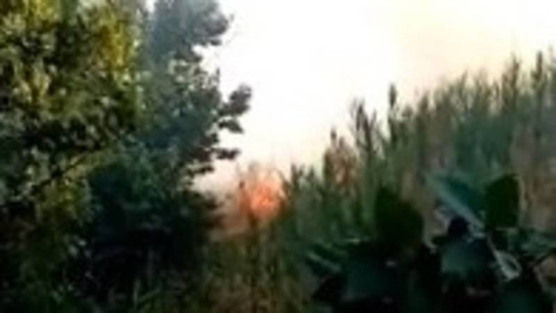В Свердловском районе Бишкека сгорело сухотравие. Видео горожанки
