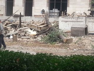 На Сыдыкова — Тоголок Молдо возле строящегося здания вырубили деревья <b>(фото)</b>