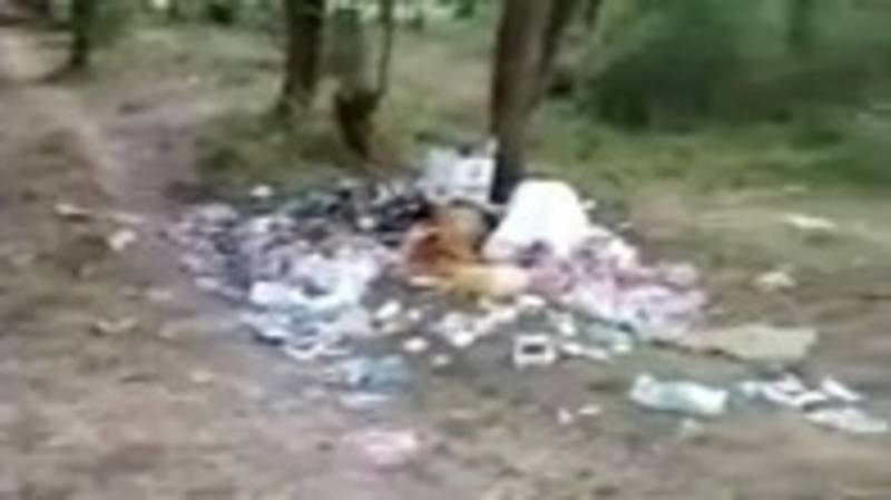 Горожанин жалуется на мусор в парке «Сейил». Видео