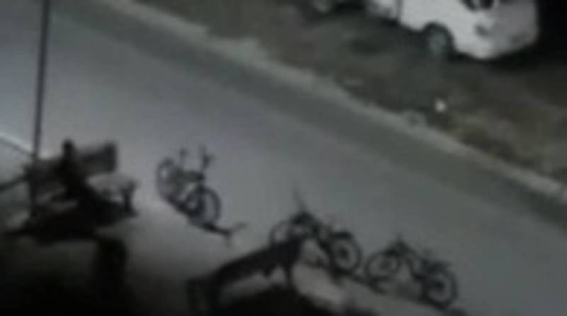 Горожанин продолжает сдавать велосипеды в аренду, несмотря на запрет. Видео