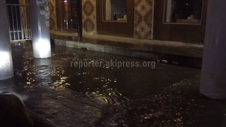 В Бишкеке вода затопила тротуар возле надземного моста в районе Аламединского рынка (видео)