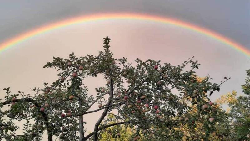 Красивая радуга в небе. Фото из села Кой-Таш