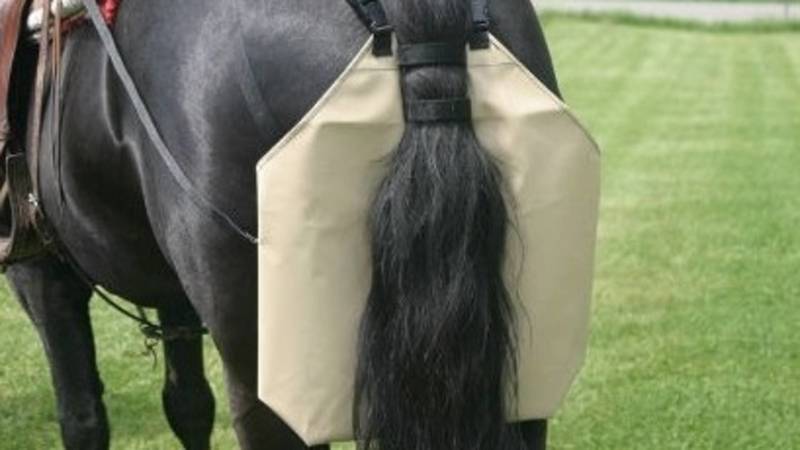 Мэрия Бишкека о патрулировании парков: Решается вопрос о памперсах для лошадей