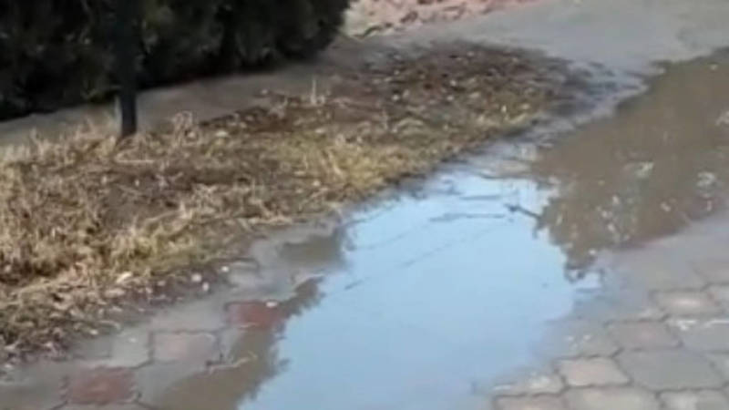 В Оше на Масалиева вода из канализации топит тротуар. Видео горожанина
