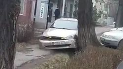 «Форд» заехал на тротуар и врезался в дерево. Видео